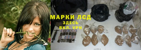 ПСИЛОЦИБИНОВЫЕ ГРИБЫ Михайлов