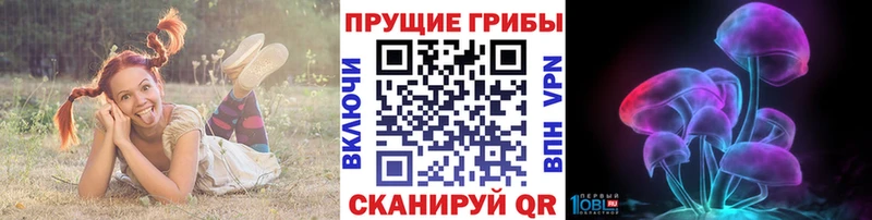 Псилоцибиновые грибы мухоморы  Купить где  Кохма 
